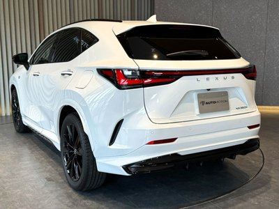 LEXUS NX - 10