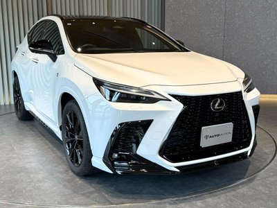 LEXUS NX - 6