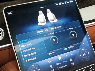 2021 Mercedes-BENZ S-CLASS 缩略图 20
