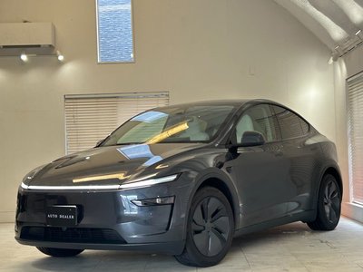 TESLA MODEL Y - 1
