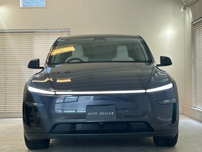 TESLA MODEL Y - 10