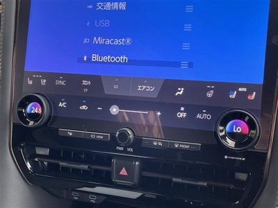 2024 TOYOTA ALPHARD thumbnail 12