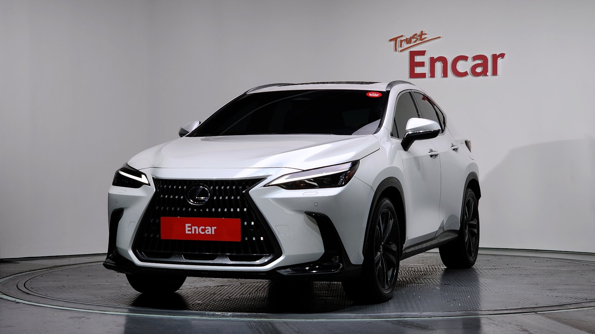 LEXUS NX - View 1