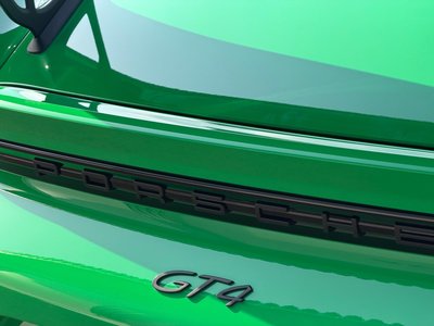 2021 Porsche 718 缩略图 44