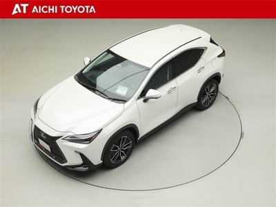 LEXUS NX - 10