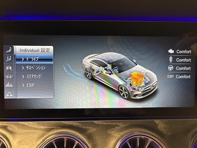 2019 Mercedes-BENZ OTHERS thumbnail 13