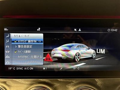 2019 Mercedes-BENZ OTHERS thumbnail 11