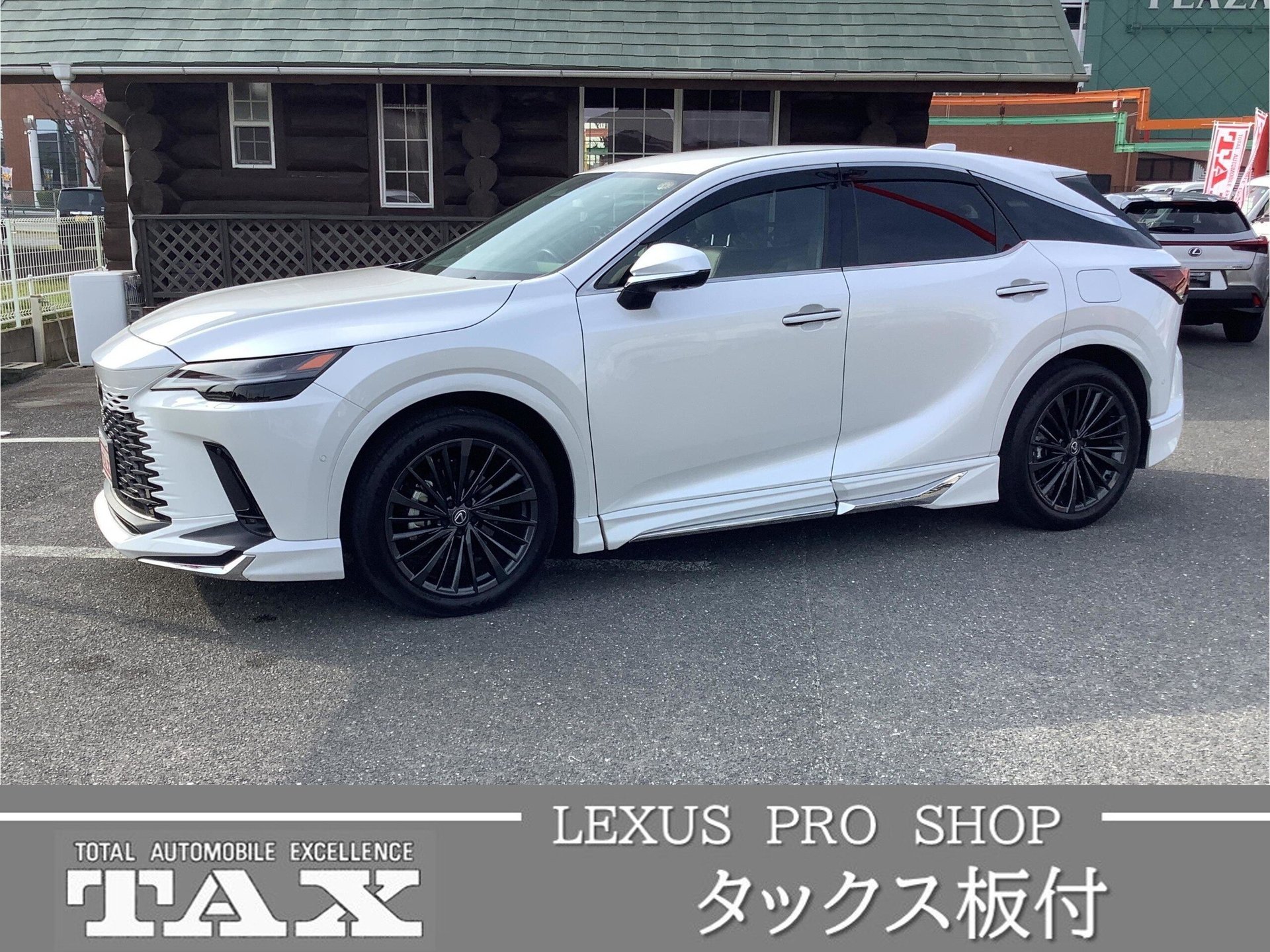 LEXUS RX - View 1