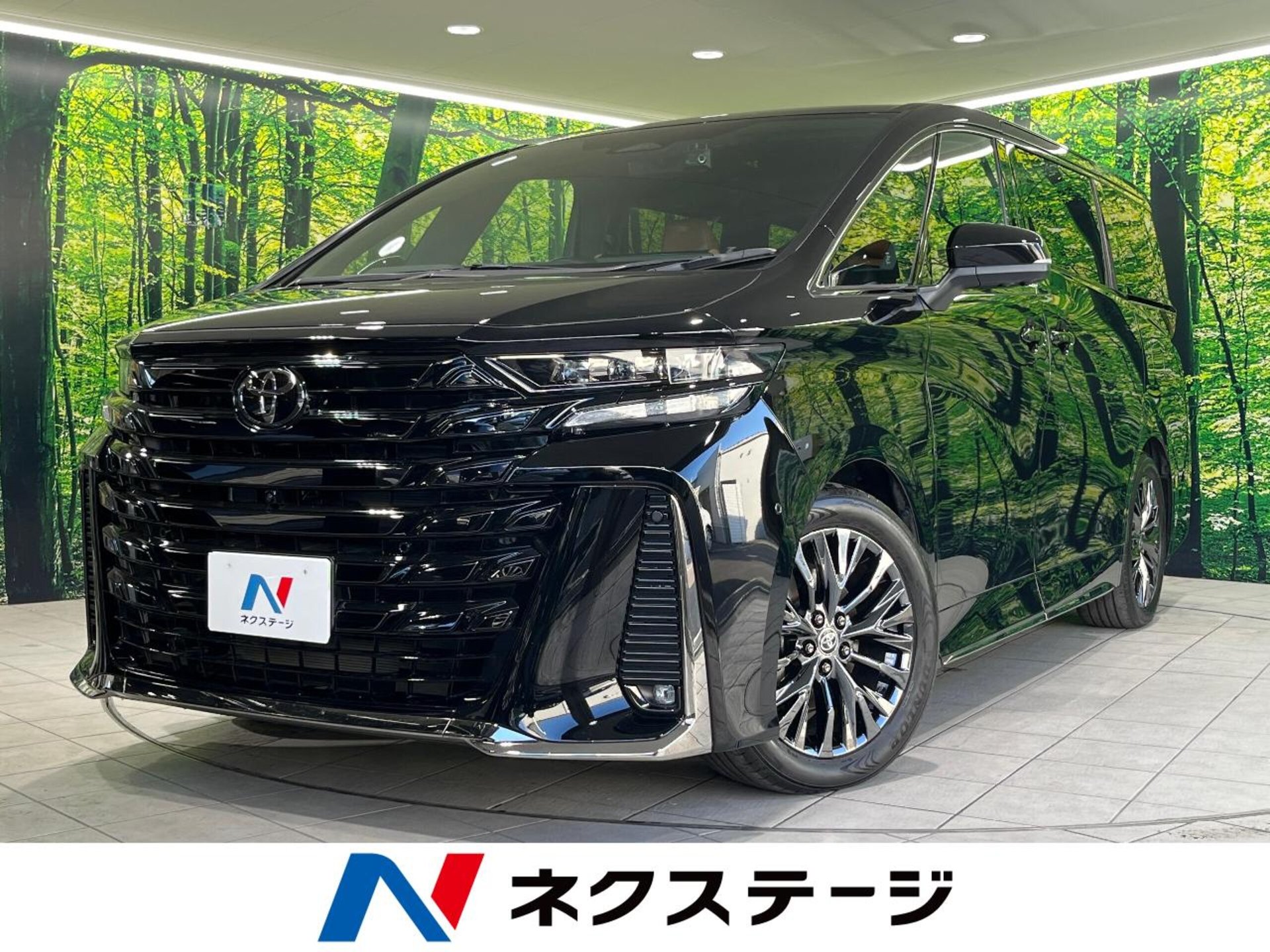 TOYOTA VELLFIRE - View 1