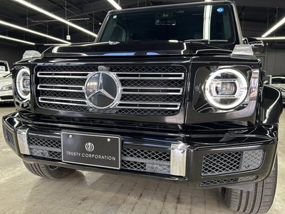2019 Mercedes-BENZ G-CLASS 缩略图 27