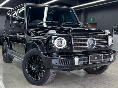 2019 Mercedes-BENZ G-CLASS 缩略图 19
