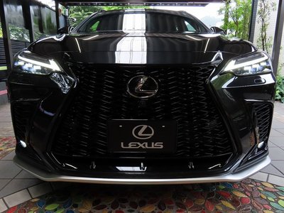 LEXUS NX - 8