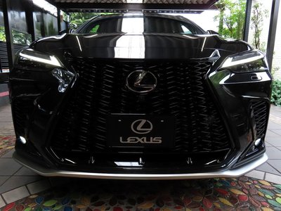 LEXUS NX - 6