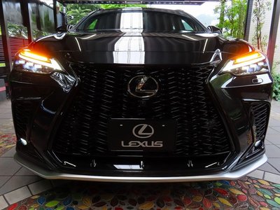 LEXUS NX - 10
