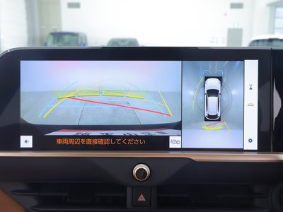 2024 Toyota CROWN SPORT photo 10