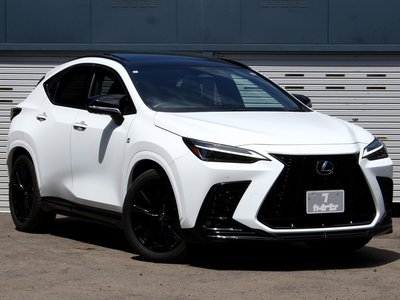 LEXUS NX - 2