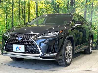 2021 Lexus RX 缩略图 21