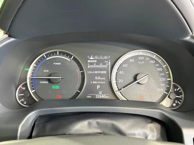 2021 Lexus RX 缩略图 41