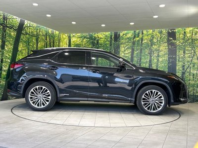 2021 Lexus RX 缩略图 24