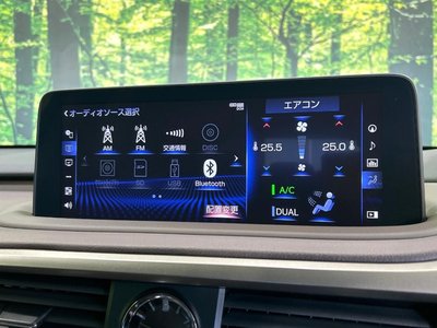 2021 Lexus RX 缩略图 43