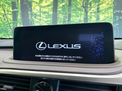 LEXUS RX - 4