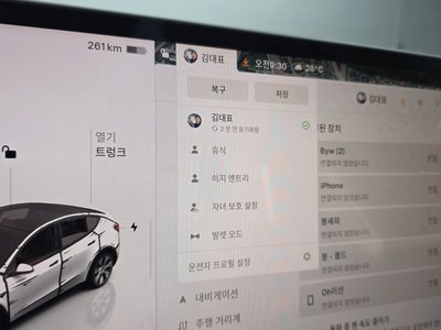 2022 Tesla MODEL Y thumbnail 30