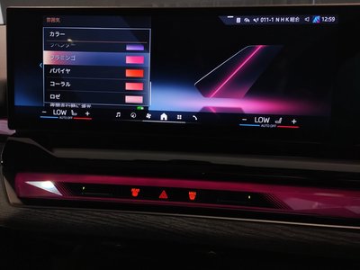2024 BMW 5 SERIES TOURING 缩略图 41
