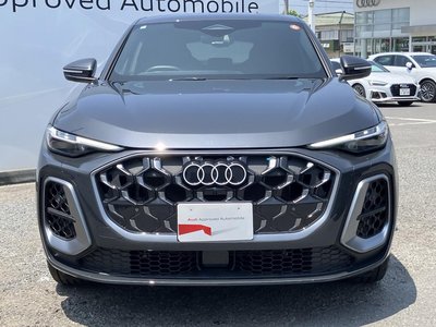 2025 AUDI Q5 SPORTBACK 缩略图 18