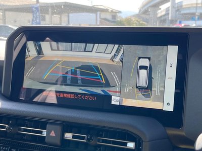 TOYOTA LAND CRUISER 250 - 6