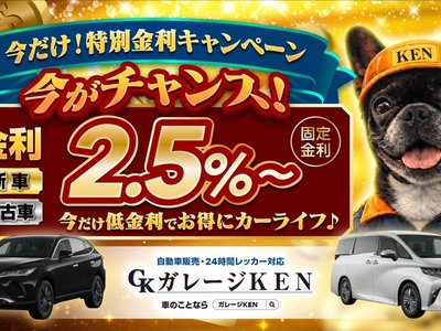 TOYOTA LAND CRUISER 200 - 3