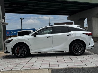 2024 Lexus RX 缩略图 55