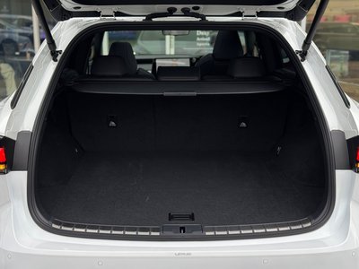 2024 Lexus RX 缩略图 96