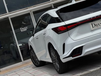 2024 Lexus RX 缩略图 64
