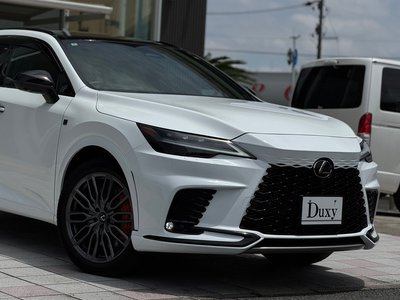 2024 Lexus RX 缩略图 18