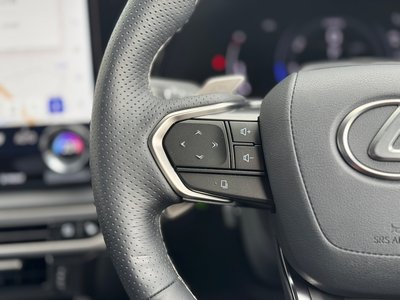 2024 Lexus RX 缩略图 124