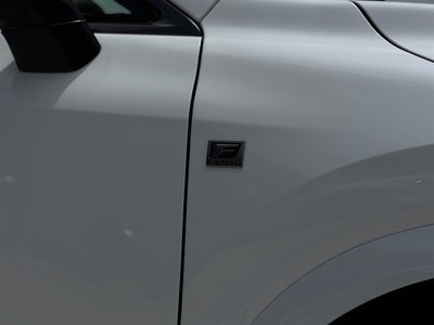 2024 Lexus RX 缩略图 54