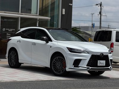 2024 Lexus RX 缩略图 16