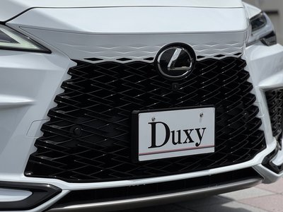 2024 Lexus RX 缩略图 31