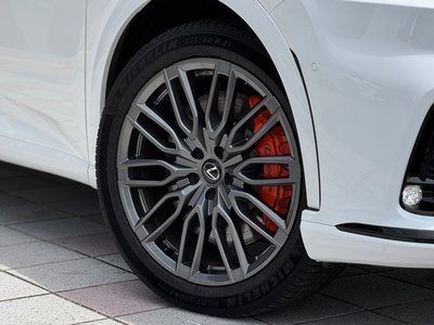 2024 Lexus RX 缩略图 50