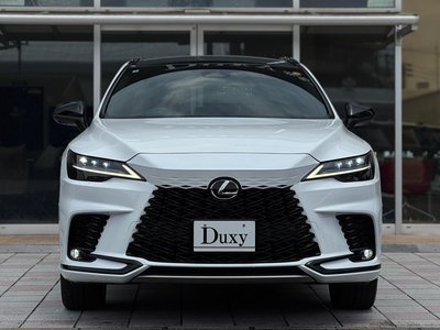 2024 Lexus RX 缩略图 22