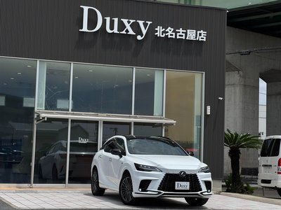 2024 Lexus RX 缩略图 19