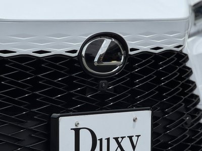 2024 Lexus RX 缩略图 24