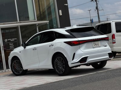 2024 Lexus RX 缩略图 61