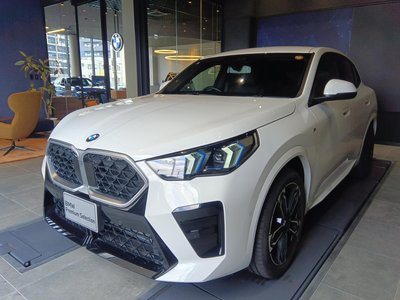 BMW X2 - 1