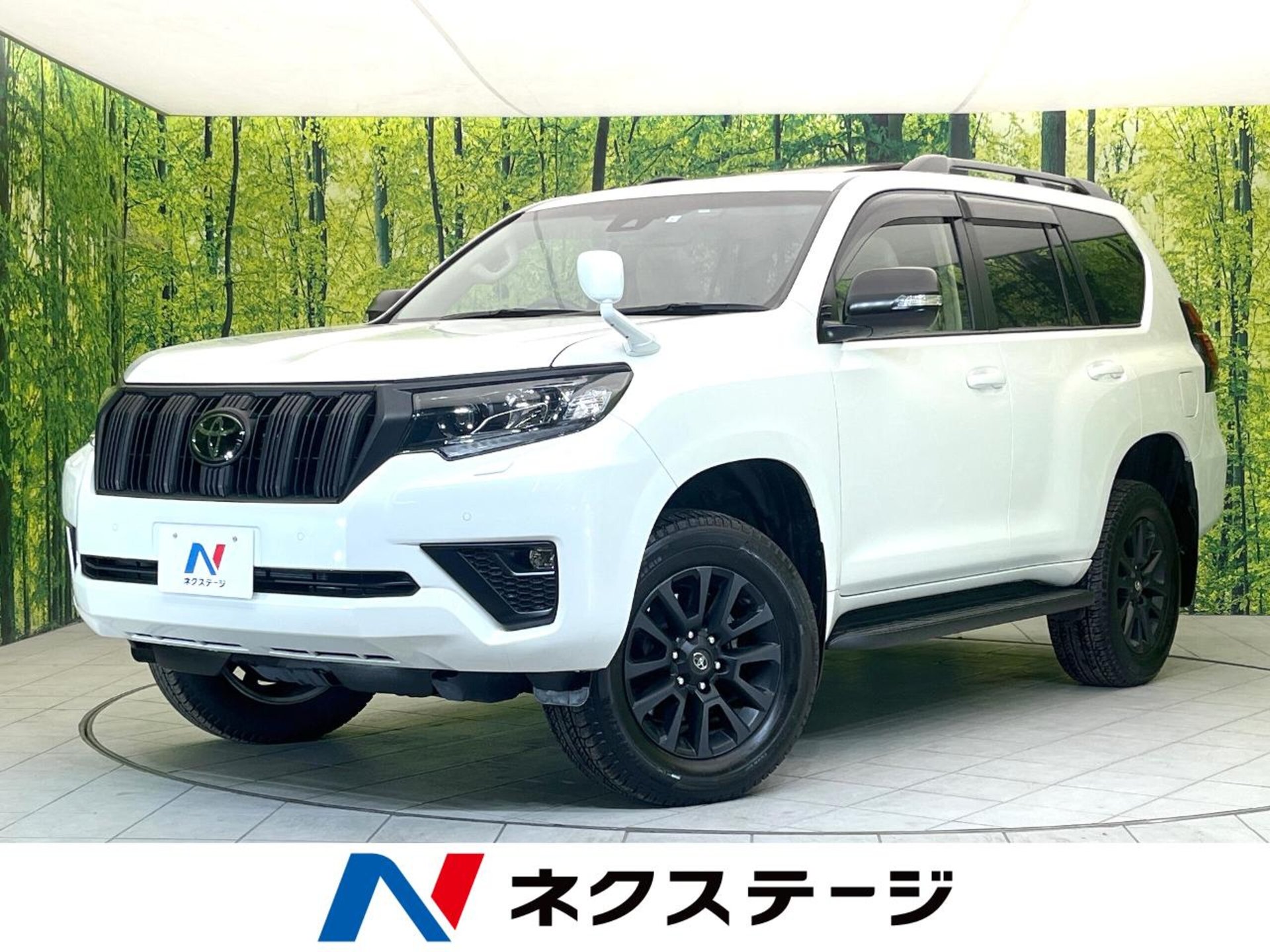 TOYOTA LAND CRUISER PRADO - View 1