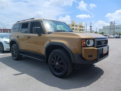 TOYOTA LAND CRUISER 250 - 6