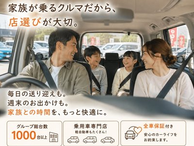 TOYOTA ALPHARD - 3
