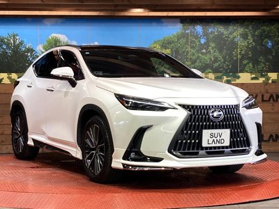2023 Lexus NX — миниатюра 16