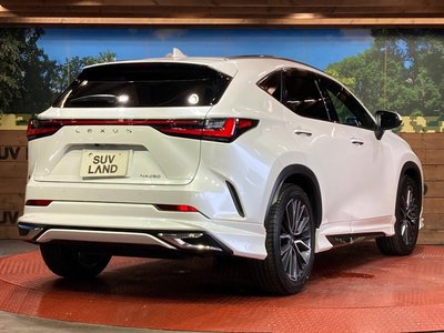 2023 Lexus NX — миниатюра 17