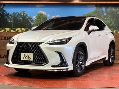 2023 Lexus NX — миниатюра 26